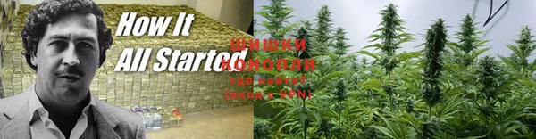 Альфа ПВП Бугульма