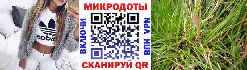 Псилоцибиновые грибы прущие грибы  купить наркотики цена  Вилюйск 